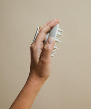 Scalp Brush null